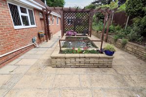 HAZEL MEWS- click for photo gallery